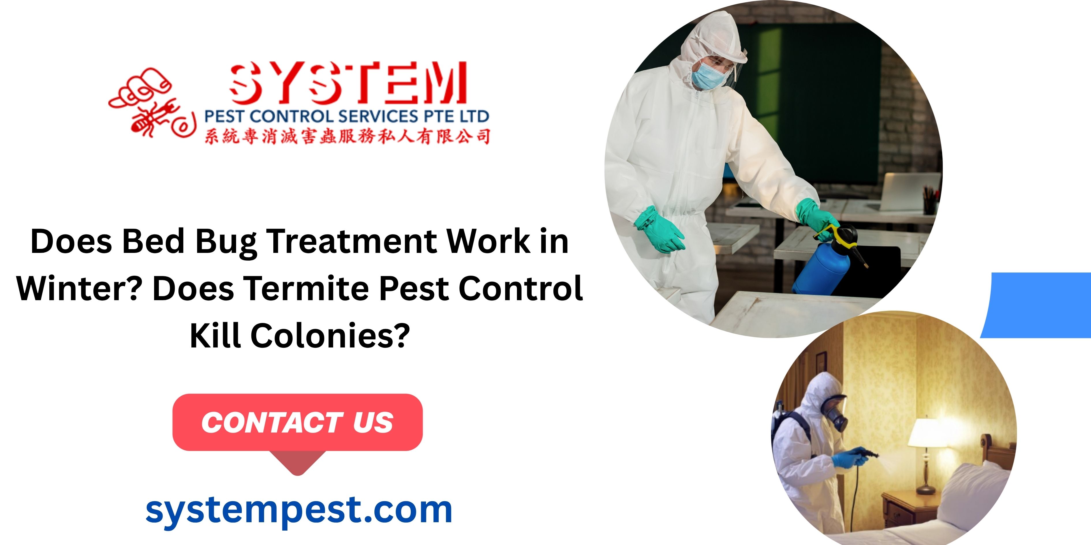 Does Bed Bug Treatment Work in Winter? Does Termite Pest Control Kill Colonies?